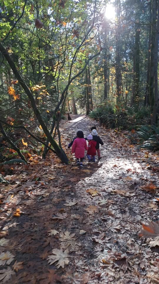 Children walking on a trail in the forest