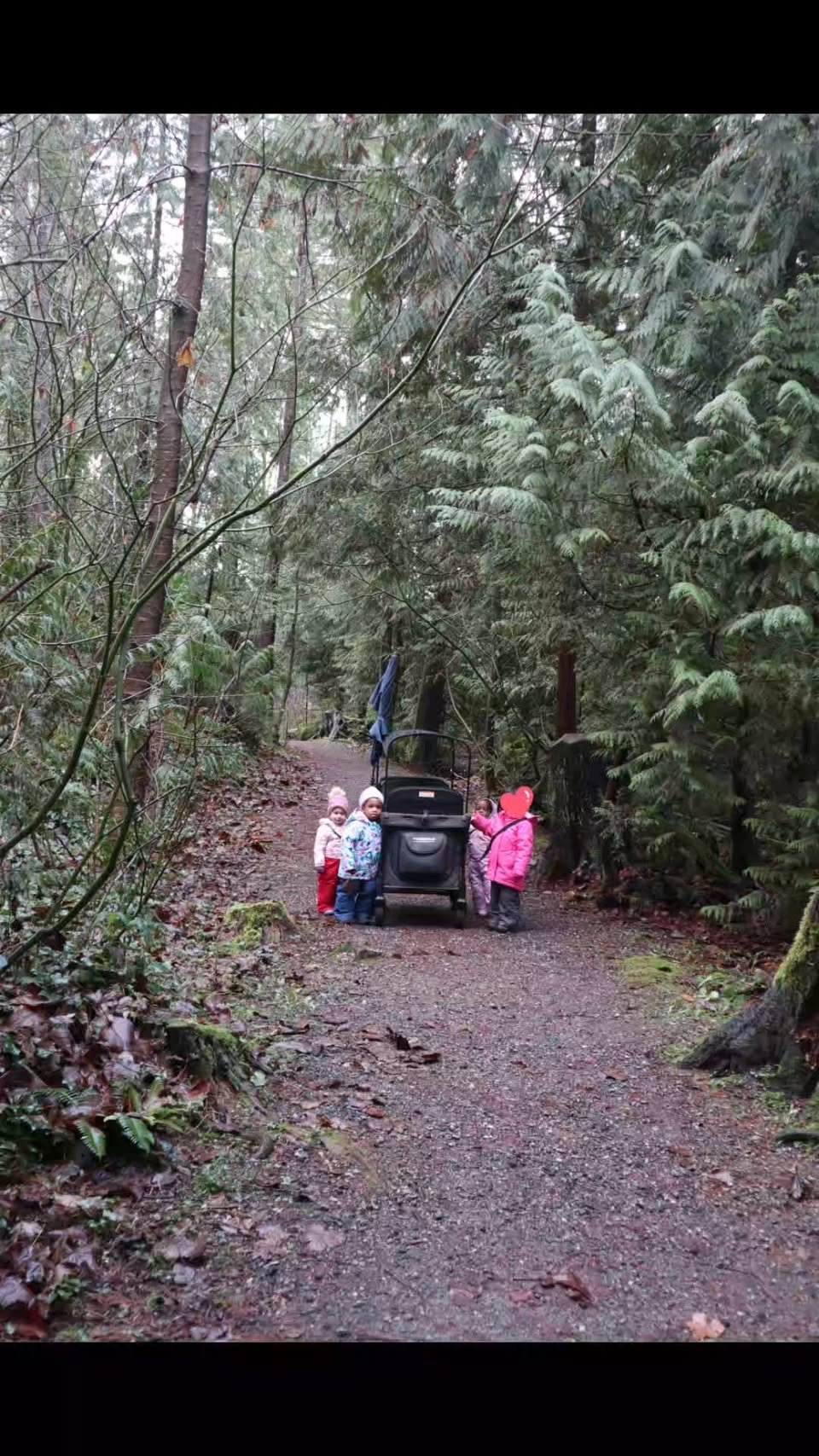 Children pushing a stroller on a forest trail