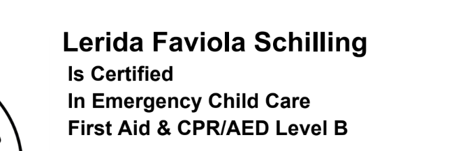 Emergency Child Care First Aid & CPR Level B