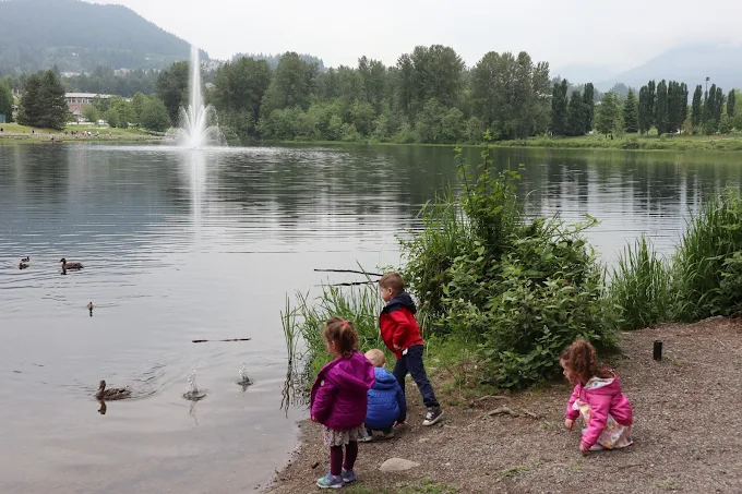 Children feeding ducks by a lake with a fountain